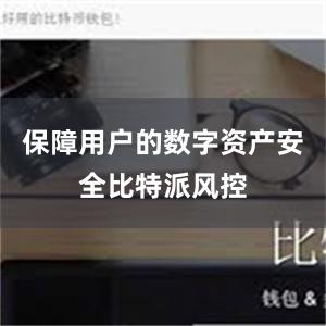 保障用户的数字资产安全比特派风控